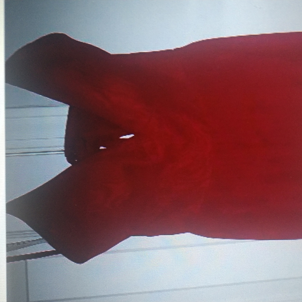 Formal Dress - Picture 4 of 6